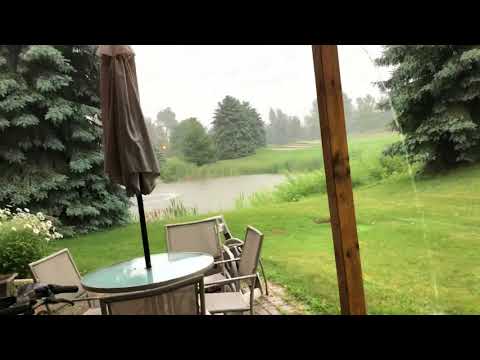 Rainy summers are the best.