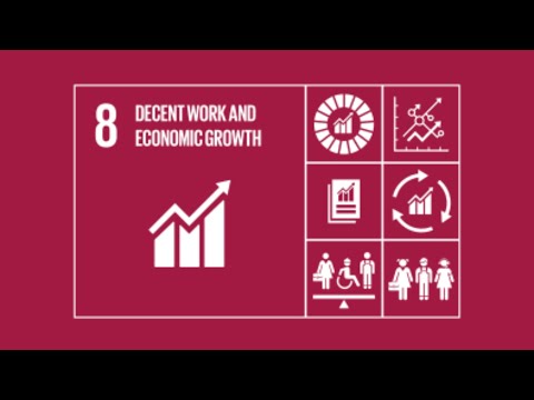 SDG 8 Decent Work & Economic Growth UN Sustainable development Goal overview by #wow3DLearning #sdgs