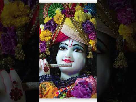 aaya h janamdin madan murari ka song status||Bhakti status||bhakti song #yshorts #viralvideo #shorts
