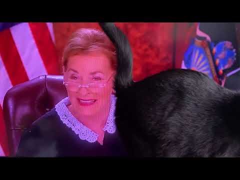 My cat wants to watch Judge Judy
