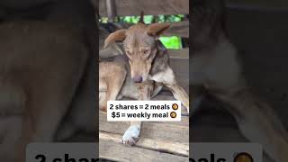 PayPal donation link in bio to help