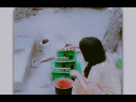 राम आयेंगे। #jaishreeram #vairal #bihar #india #bhakti #trending #trend #challenge #hindu #shorts