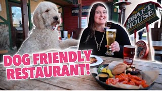 Have Lunch with your Dog on this Patio in Las Vegas!