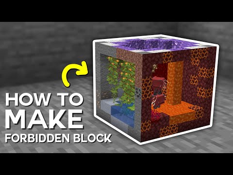 Minecraft Immersive Portals Mod | The Forbidden Block Tutorial