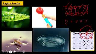 Surface tension Class 11