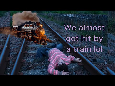 FRANCE VLOG| donkeys, forest poos and train lines