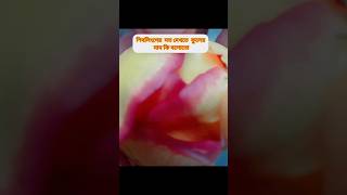 #ফুলের নাম কি বলতো🔱🔱🔱#searchfeed #share #searchpage #yputube #views #shorts #shortsfeed #views_viral