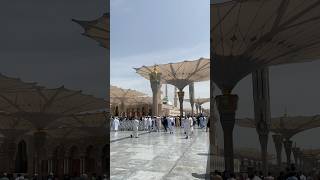 Al Masjid an Nabawi #shortsedition #almasjidannabawi