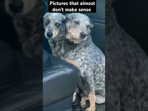 pause ▶️ #funny #butifyoucloseyoureyes