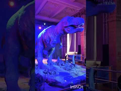 National History Museum #uk Tottenham Court #hydepark #museum