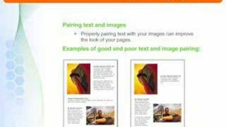 Understanding Web Design Basics