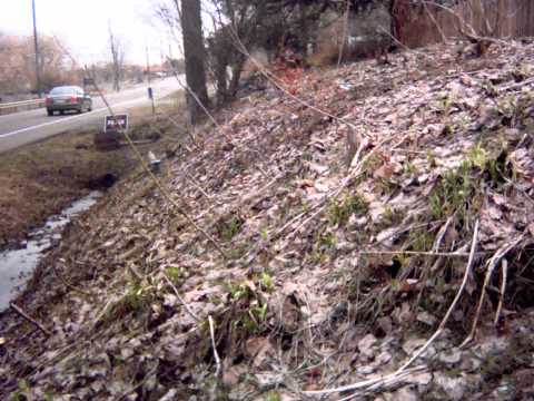 Time-lapse test: snow and gardens