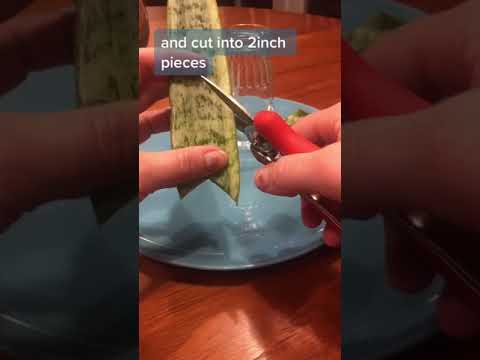 SNAKE PLANT PROPAGATE/HOW TO PROPAGATE SNAKE PLANT