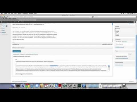 WordPress Auto Article Rewriter