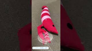 Apple Object Capture