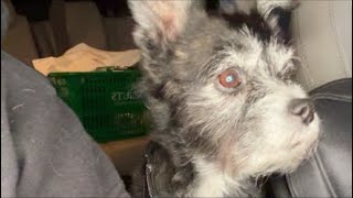 Delete Lawz is live! TRIAL UPDATE