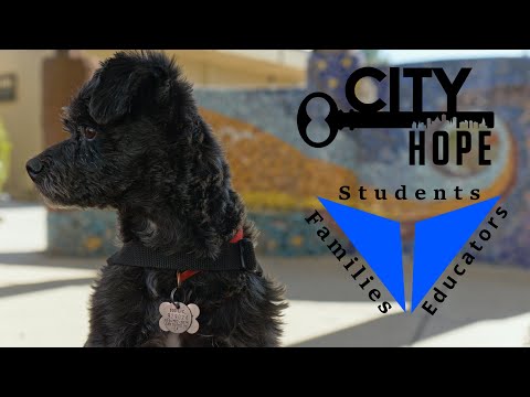 RVCS & City Hope