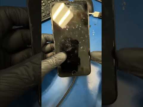 Will this iPhone Survive…? #tech