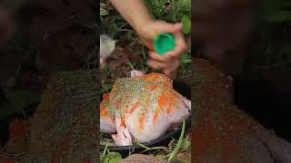 #camping #campingvibes #campinggirl #cooking #girlforestlife #girlbuildingbushcraftlife #nature  67