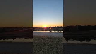sunset lover #sunsetlover #sunset #shorts /#viral #video