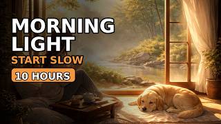 Soft Morning Light ☀️ Calm Start to the Day |  (10 Hours) Japanese Lofi Ambience for Focus & Relax