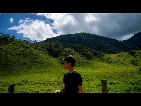 A Travel to the Jungle