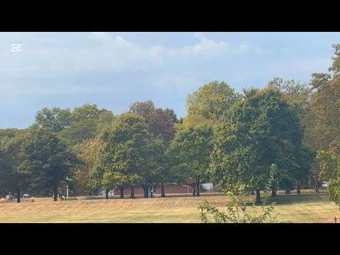 Soft piano with bird singing in the mid of september ( real time visual)💗 