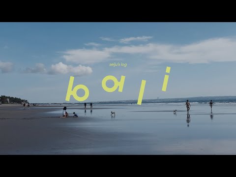 solo trip to Bali | vegan friendly spots, beach clubs, dogs, and natural wine