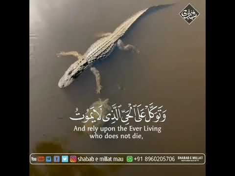 Quran Status - whatsapp status - القرآن الكريم - Shabab e Millat Mau