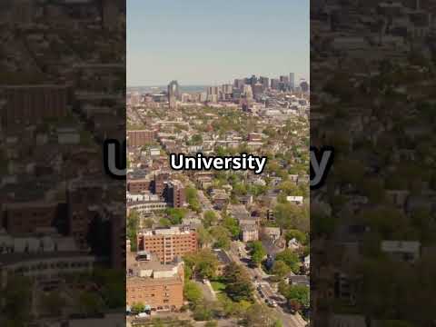 US Cracks Down: Visa Violations Lead to Deportation!