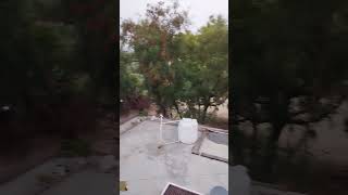 village nature video village# 🙋‍♂️😍