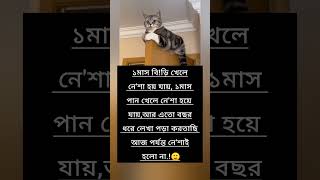 funny video 🤣#vairalvideo #vairalshort #trending #views #funny #foryou #cat