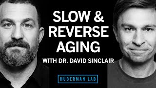 The Biology of Slowing & Reversing Aging | Dr. David Sinclair