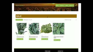 Anderson SC eCommerce Web Design