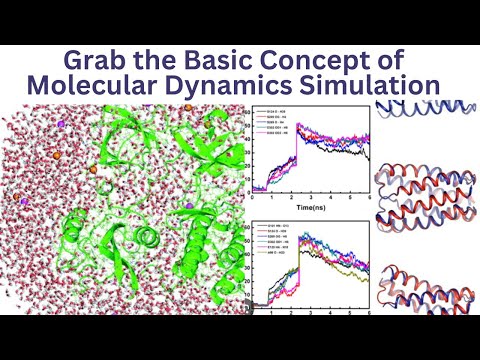 Learn the Basic Concept of Molecular Dynamics Simulation