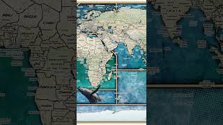 🌍 Comic Book World Map | Epic Art Style