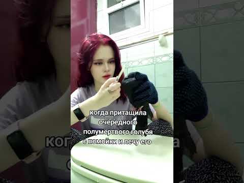 #птицы #birds #голуби #помощьживотным