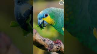 What Happens When You Explore the Amazon Jungle in 4K? (Full Video Coming Friday!)