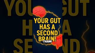 “Your Gut Has a Second Brain! 🧠 | Microbiome Science” #shorts #guthealth