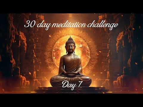 Meditation challenge day 7