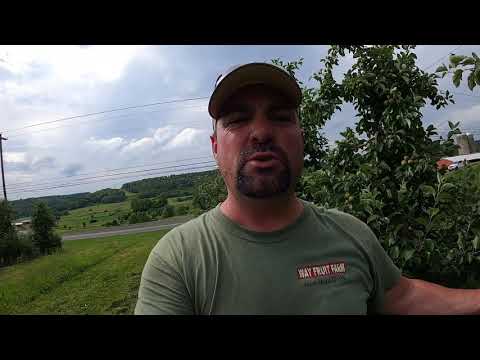 checking in on everything growing!