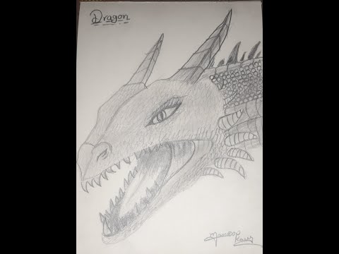Dragon drawing
