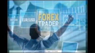 forex system trading