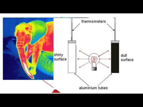 The Electromagnetic Spectrum