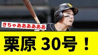 【うおおおおおお！！】栗原 30号！【プロ野球反応集】