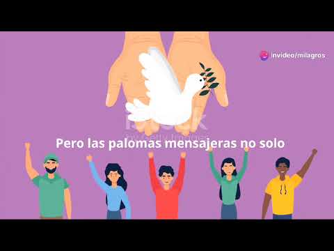 Historia de las Palomas Mensajeras
