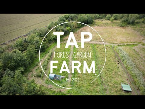 A FOREST GARDEN FARM - CROFT & SMALL FARM AGROFORESTRY