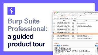 A guide to the Burp Suite user interface