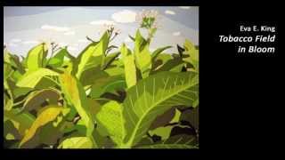 Visual Evidence 2014