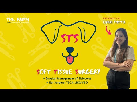 Soft Tissue Two-Parter: Surgical Management of Sialoceles and Ear Surgery: TECA-LBO/VBO